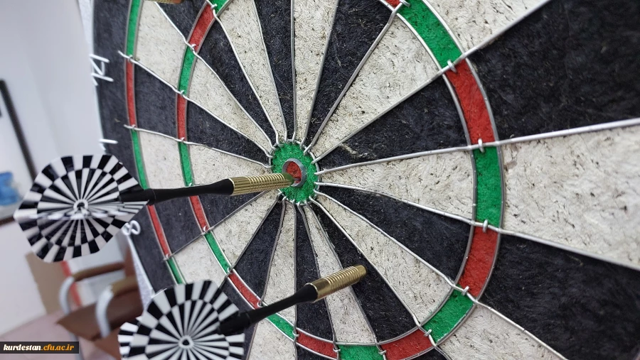 مسابقات دارت اساتید و کارکنان دانشگله فرهنگیان استان کردستان 7