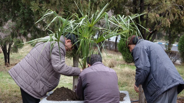 مراسم روز درختکاری در دانشگاه فرهنگیان کردستان
 2
