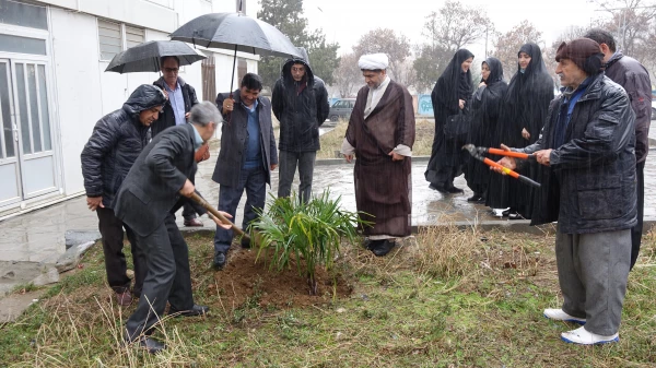 مراسم روز درختکاری در دانشگاه فرهنگیان کردستان
 6