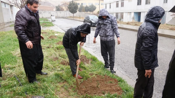 مراسم روز درختکاری در دانشگاه فرهنگیان کردستان
 8