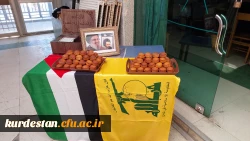 اکران مستند 