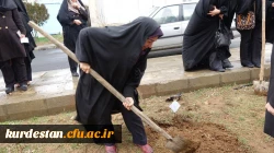 مراسم کاشت نهال به مناسبت هفته درختکاری و گرامیداشت بانوان شهید 5