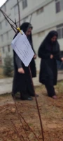 مراسم کاشت نهال به مناسبت هفته درختکاری و گرامیداشت بانوان شهید 7