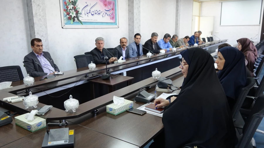 برنامه ریزی برای گرامیداشت «دهه سرآمدی آموزش» 3